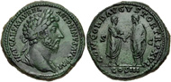 View Details