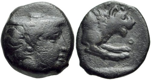 2090053.jpg