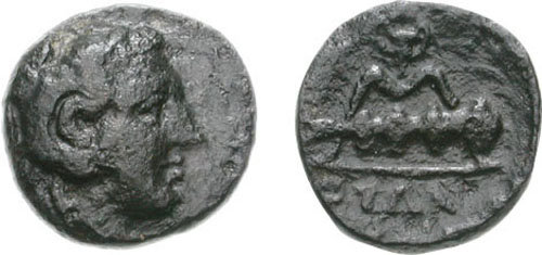 710529.jpg