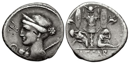 Lot 507 image