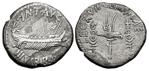 Lot 515 image