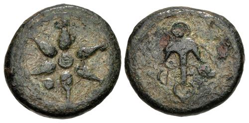 Lot nuber 14
