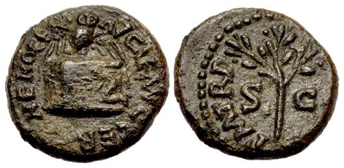 Lot 555 image