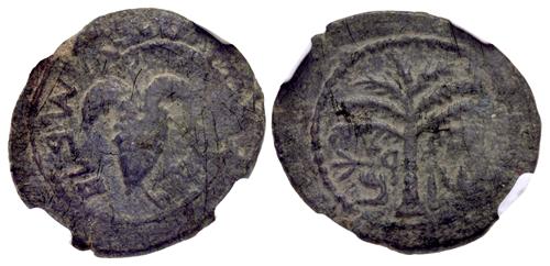 Lot 248 image