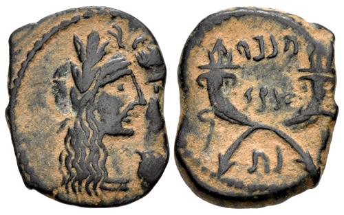 Lot 262 image