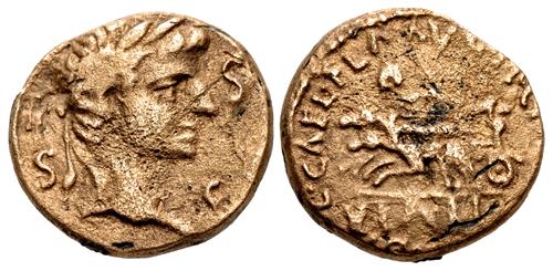 Lot 305 image