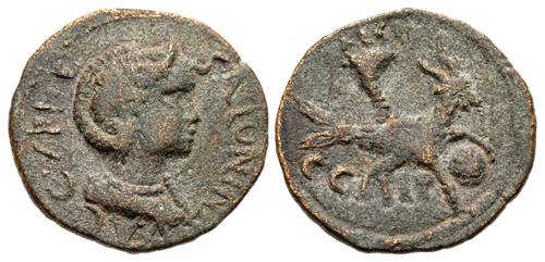 Lot 326 image