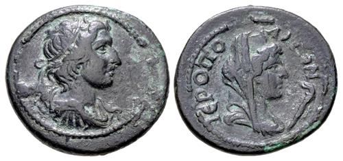 Lot 342 image
