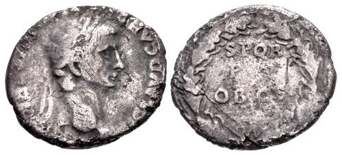 Lot 495 image