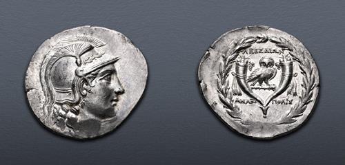Lot 204 image