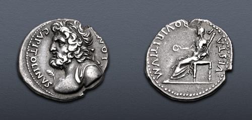 Lot 501 image