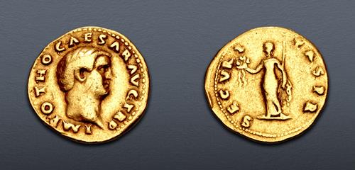 Lot 503 image