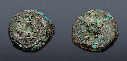 Lot 505 image