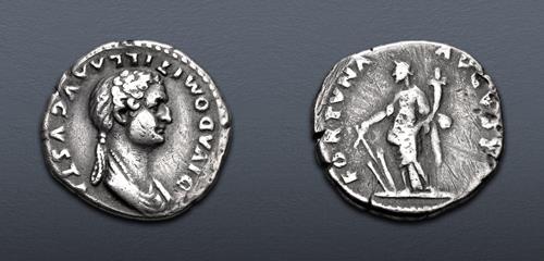 Lot 509 image