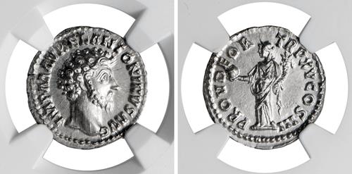 Lot 550 image