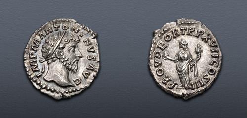 Lot 551 image