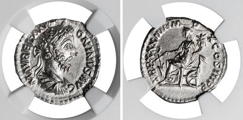 Lot 555 image