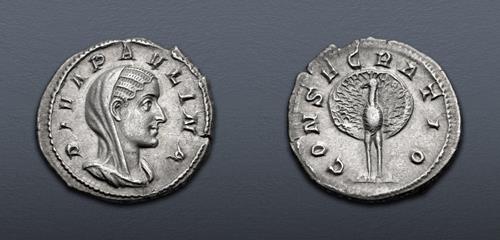 Lot 588 image