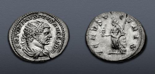 Lot 433 image