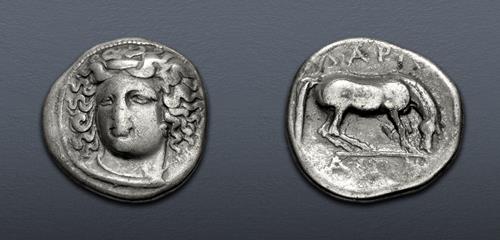 Lot 113 image