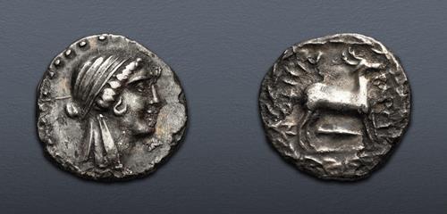 Lot 205 image