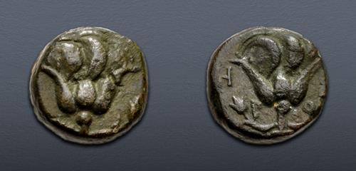 Lot 209 image