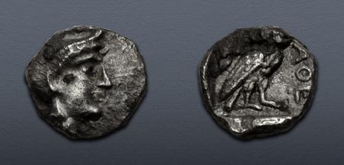 Lot 246 image