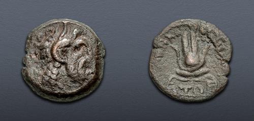 Lot 256 image