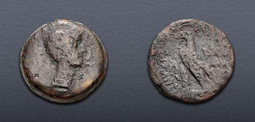 Lot 334 image