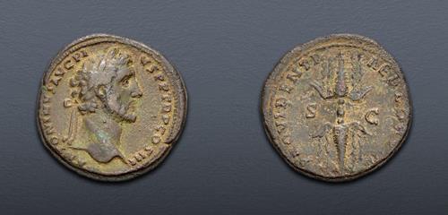 Lot 374 image