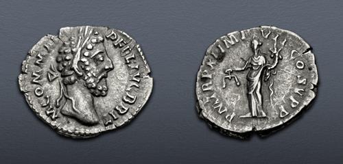 Lot 381 image