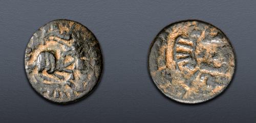 Lot 516 image