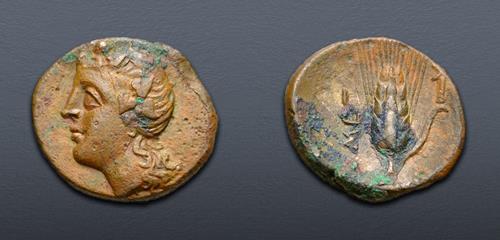Lot 17 image