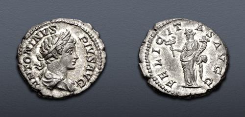 Lot 501 image