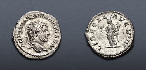 Lot 504 image