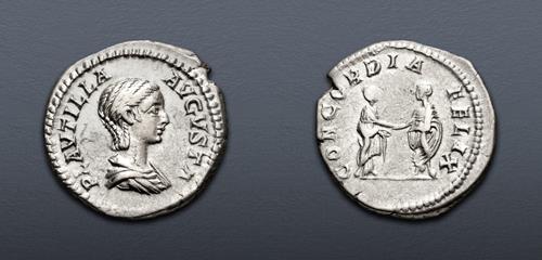 Lot 505 image