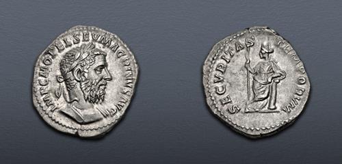 Lot 509 image