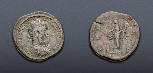 Lot 510 image