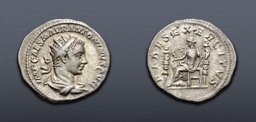 Lot 511 image