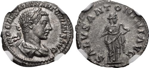Lot 513 image