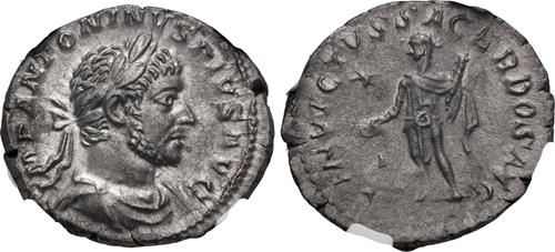 Lot 515 image