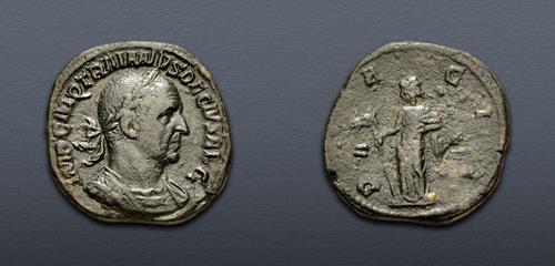 Lot 556 image