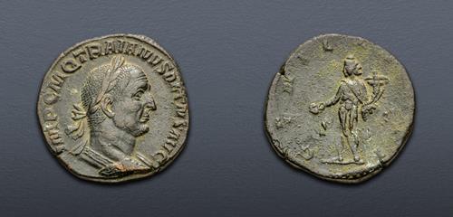 Lot 558 image