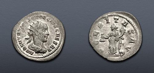 Lot 560 image