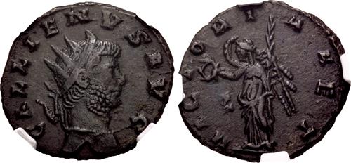 Lot 567 image