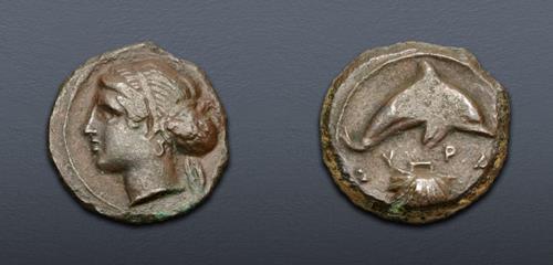 Lot nuber 16