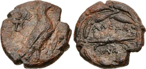 Lot nuber 141