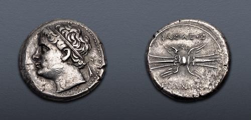 Lot 96 image