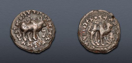 Lot 515 image
