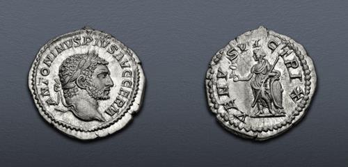 Lot 799 image